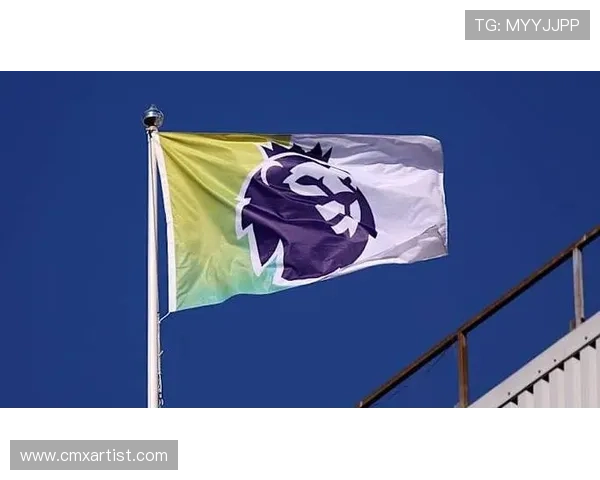 英超球队一致反对工资帽新规将取代PSR政策