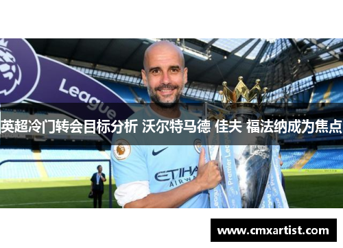 英超冷门转会目标分析 沃尔特马德 佳夫 福法纳成为焦点